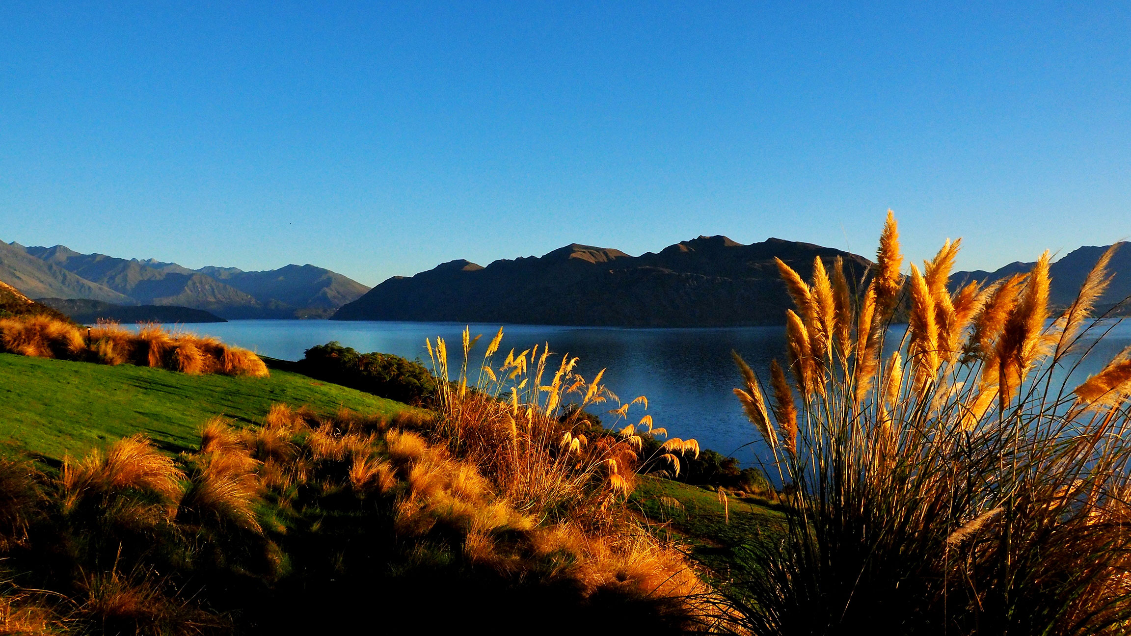 Neuseeland
